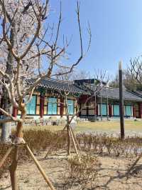 포항에서 느끼는 일본소도시 감성 일본인가옥거리