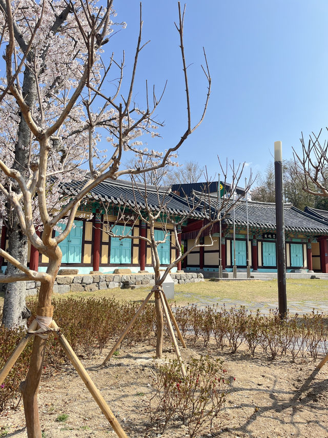 포항에서 느끼는 일본소도시 감성 일본인가옥거리