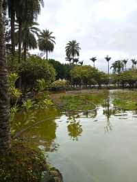 A Peaceful Morning at Sun Yat-sen Memorial Hall