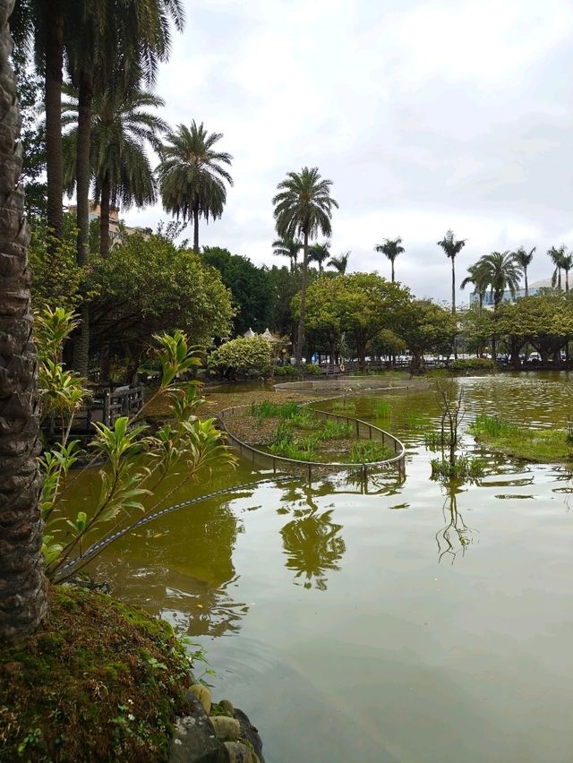 A Peaceful Morning at Sun Yat-sen Memorial Hall