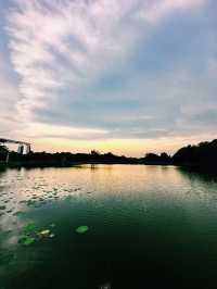 Lotus Dreams & Windy Chimes – A Hidden Gem in Cyberjaya!