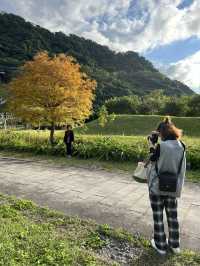 石門水庫｜北台灣四季皆宜的湖光山色與生態樂園 