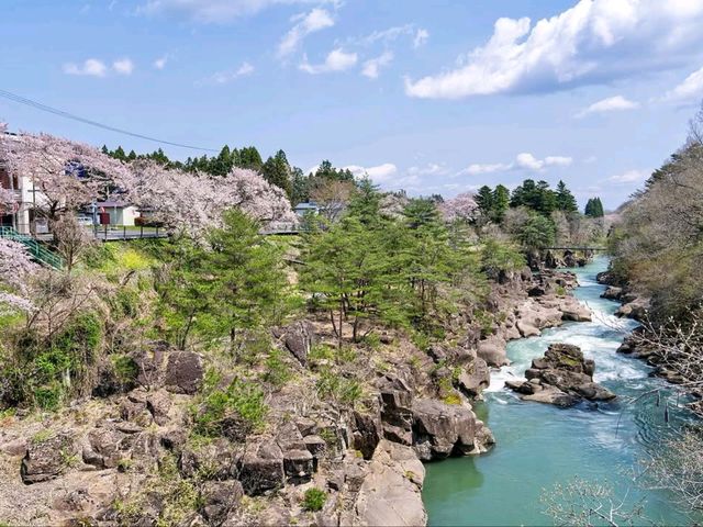 Cherry Blossoms + Cliffside