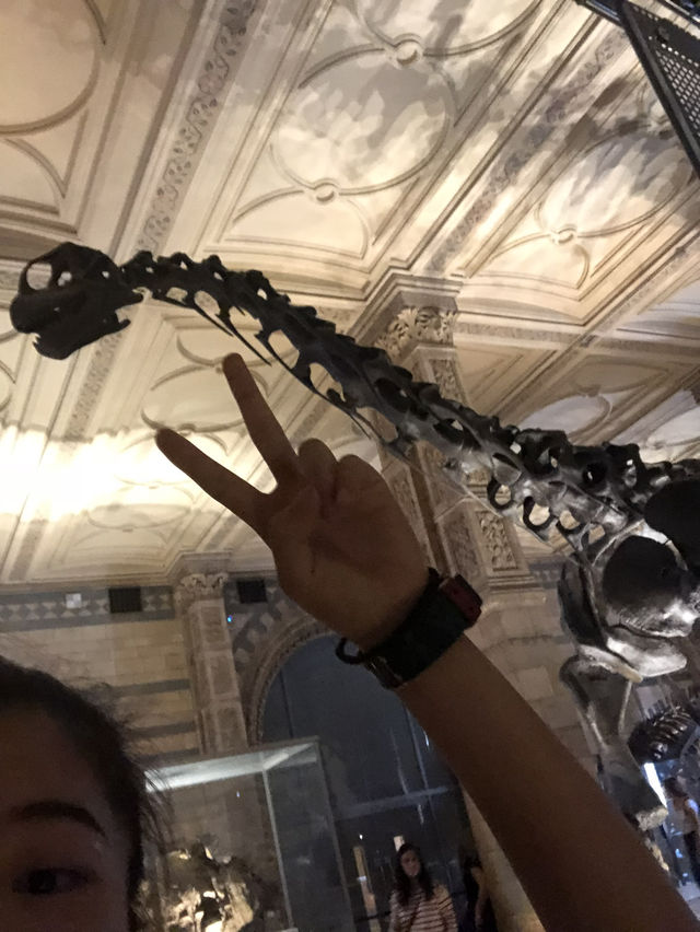 【倫敦必訪🌍自然歷史迷的天堂！自然歷史博物館體驗心得🦖🧬】