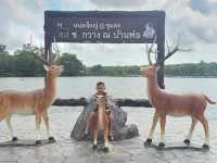 ที่เที่ยวชุมพร