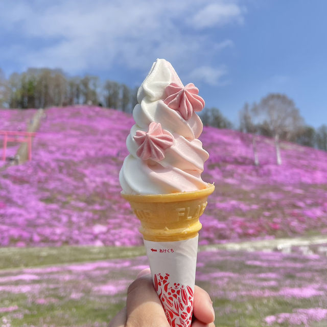 今が見頃！絶景芝桜🌸