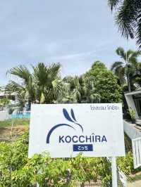 เที่ยวหัวหินพาน้องแมวพักโรงแรม PetFriendly 