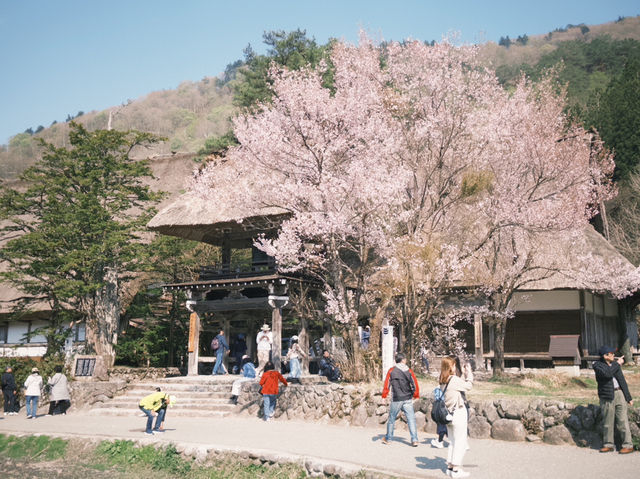 ⛰️ 白川郷・五箇山の合掌造り集落：雪国が育んだ日本の原風景 ❄️🏠