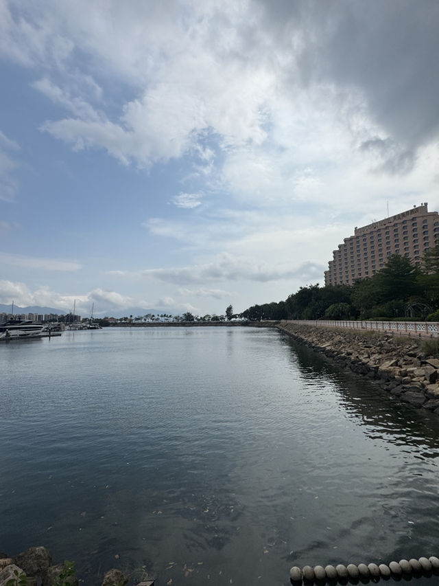 屯門黃金海岸繡球花節｜浪漫花海的夢幻之旅