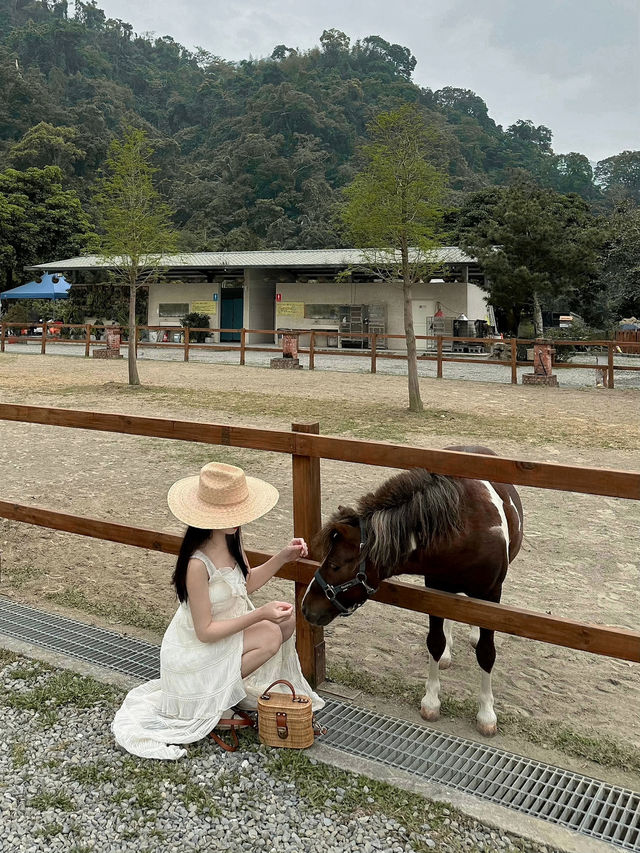 台南｜露營風咖啡廳 山裏🏕️
