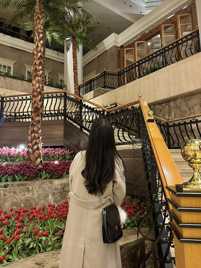 서울 도심 속 조용한 호캉스, 스위스 그랜드 호텔 후기 🏨🛁