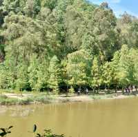 流水響水塘：天空之鏡的自然秘境 🏞️