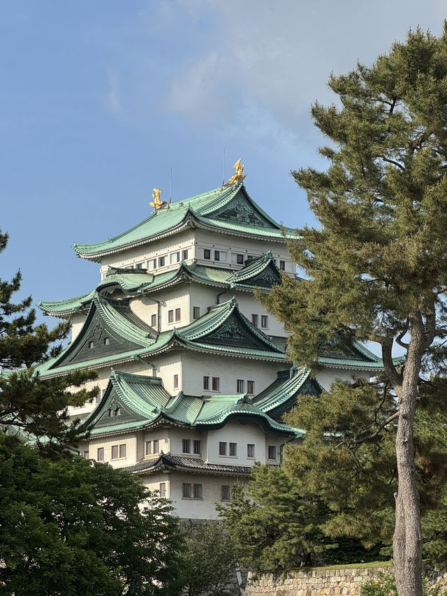 名古屋、下呂市、飛驒高山及更多地區的8日行程