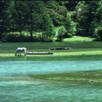 📝端午出遊｜闖入川西秘境月亮湖 + 甲根壩🏞️