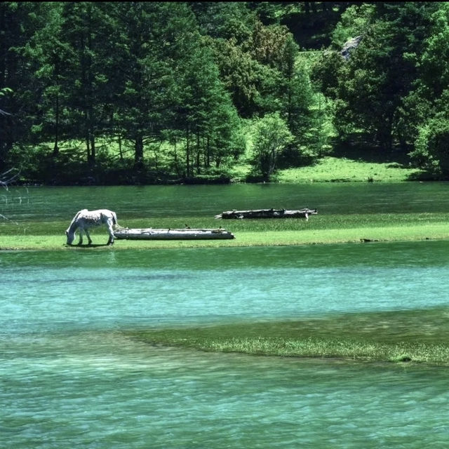 📝端午出遊｜闖入川西秘境月亮湖 + 甲根壩🏞️