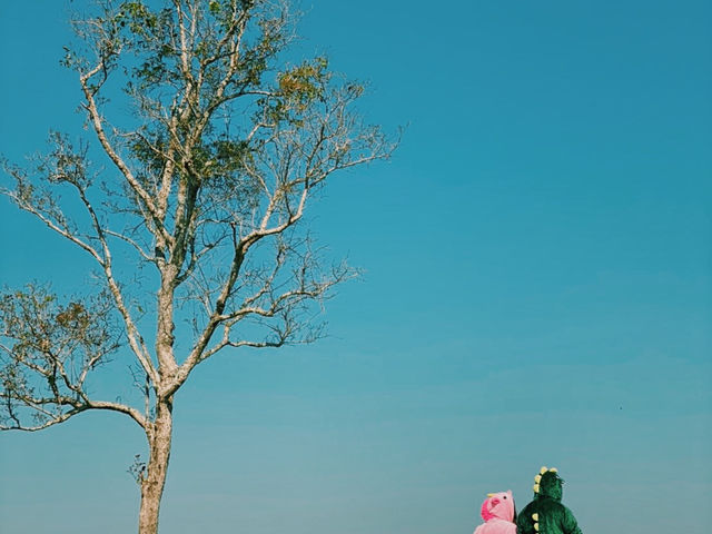 ทุ่งสะวันนาใกล้บ้าน —-> ทุ่งกะมัง 