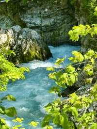 Vintgar Gorge: Slovenia’s Hidden Slice of Wilderness