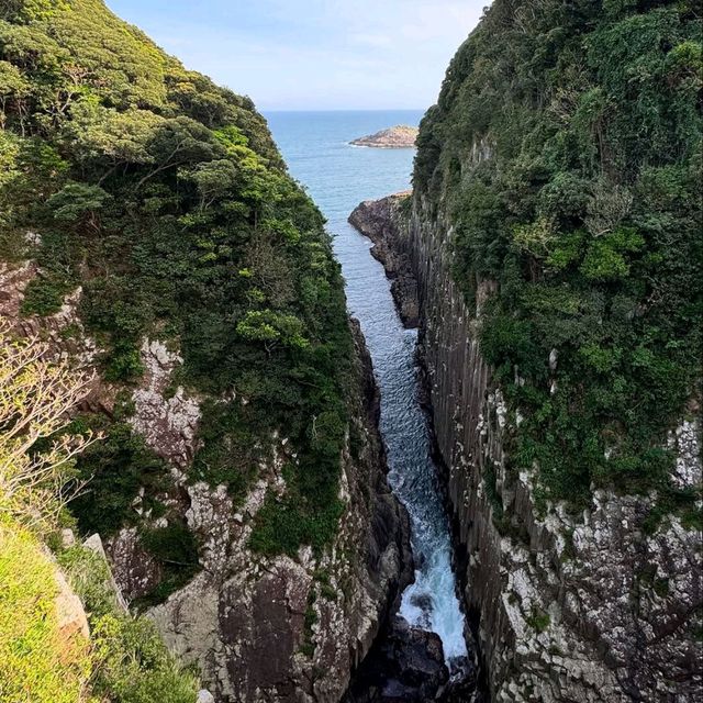 Skeluccha Views Hit Different