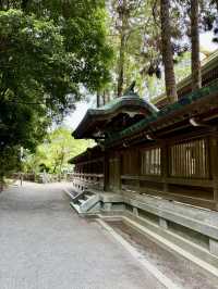 【福岡県】高台から参道と海が望める宮地嶽神社！