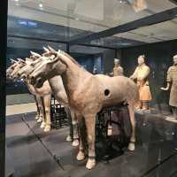 History That’s Actually Cool