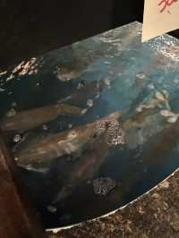 【山口旅行】海鮮が美味しすぎる🐟