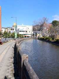 [🇯🇵松山] 道後温泉駅周辺の魅力を散策