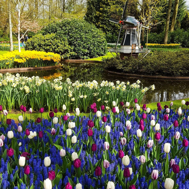 Keukenhof: A Floral Wonderland for Every Flower Enthusiast