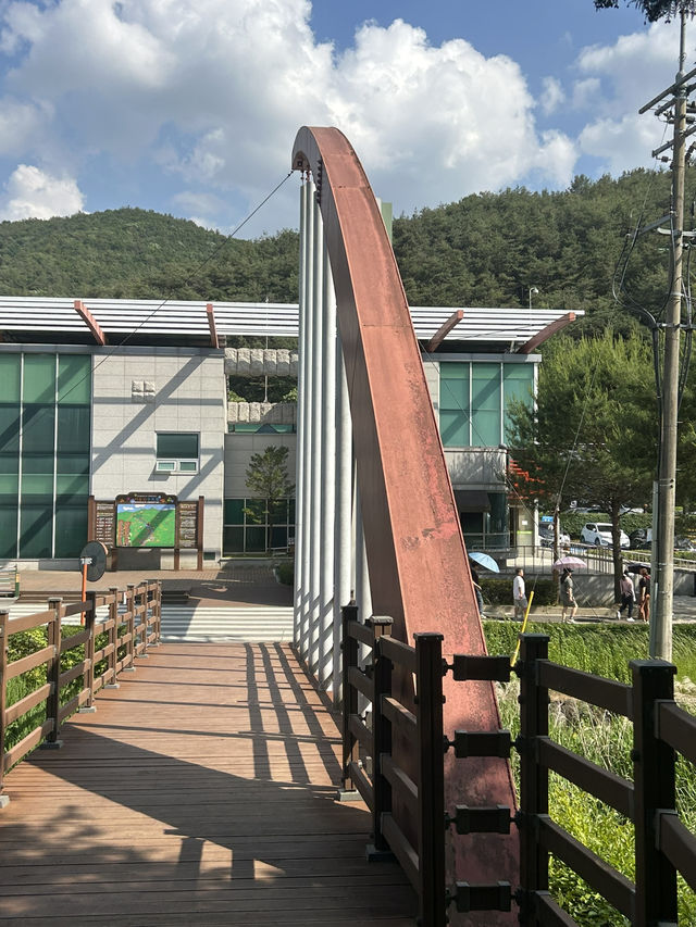 🌳 계절마다 아름다운 자연, 충북 산림환경연구소 (미동산수목원)
