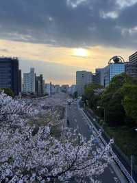 🌿**【木場公園】 東京のまんなかで深呼吸。自然とアートにふれる緑の楽園**