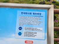 제주 목장 투어 - 마사회 제주 목장 (경주마 교배지)