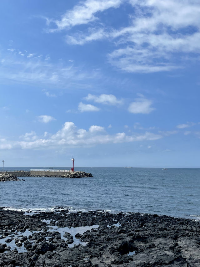 다채로운 매력의 바다, 여름엔 역시 제주! 🌊🏝️