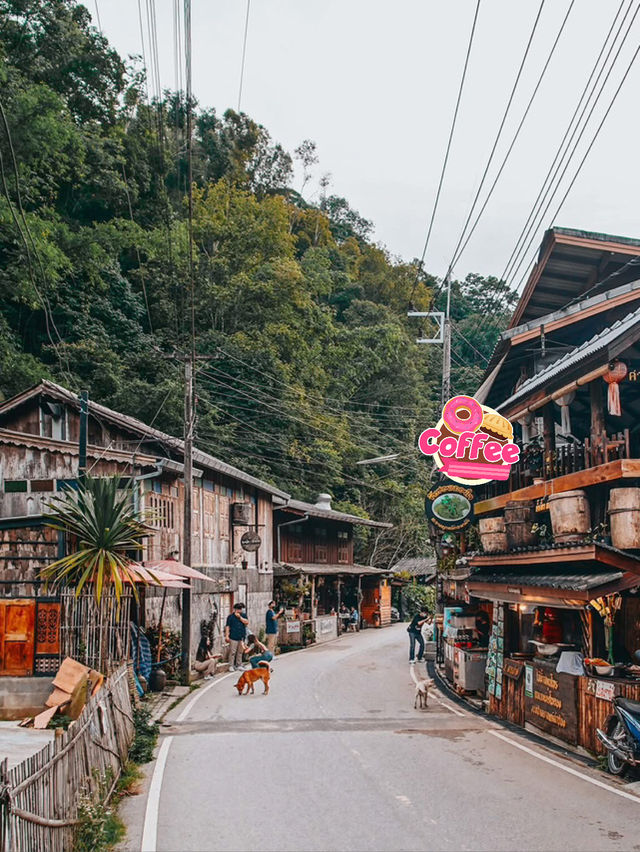 🌿แม่กำปอง村の主な観光スポット（Mae Kampong のおすすめスポット）