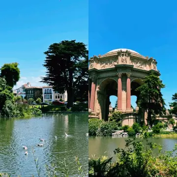 舊金山兩天一夜，藝術與曲線交織的感性之旅