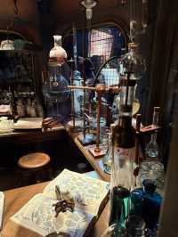 An Honest Review for DisneySea.