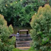 Clay wood studio