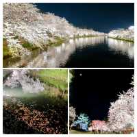 お花見にオススメ弘前城