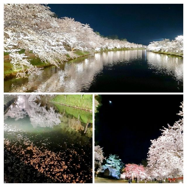 お花見にオススメ弘前城