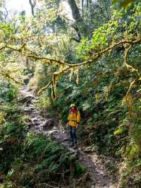 thrilling adventure for nature enthusiasts and cloud hunters to Ta Xua peak