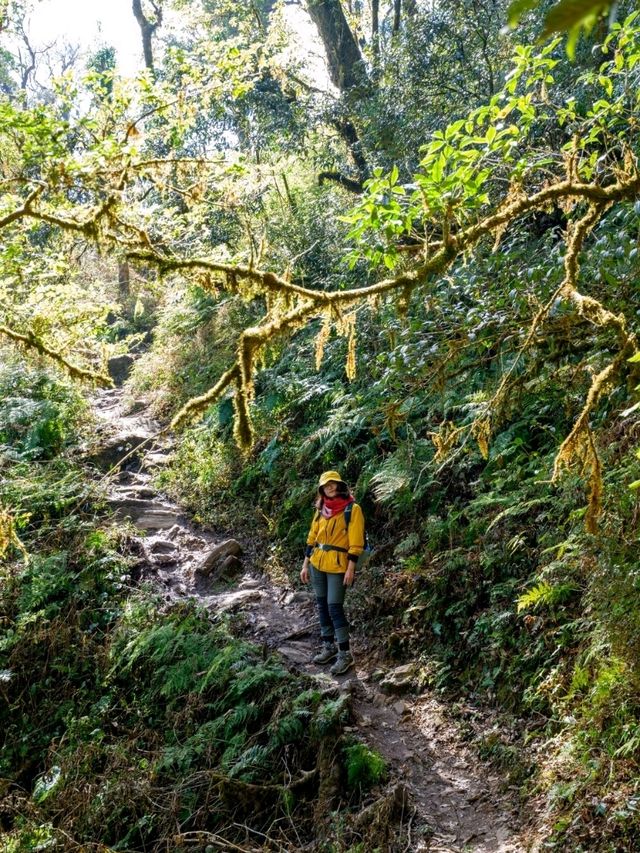 thrilling adventure for nature enthusiasts and cloud hunters to Ta Xua peak