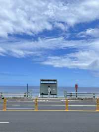 🌞【台東絕美海景車站！多良車站台東一日遊攻略】拍照聖地+火車追蹤指南🚞