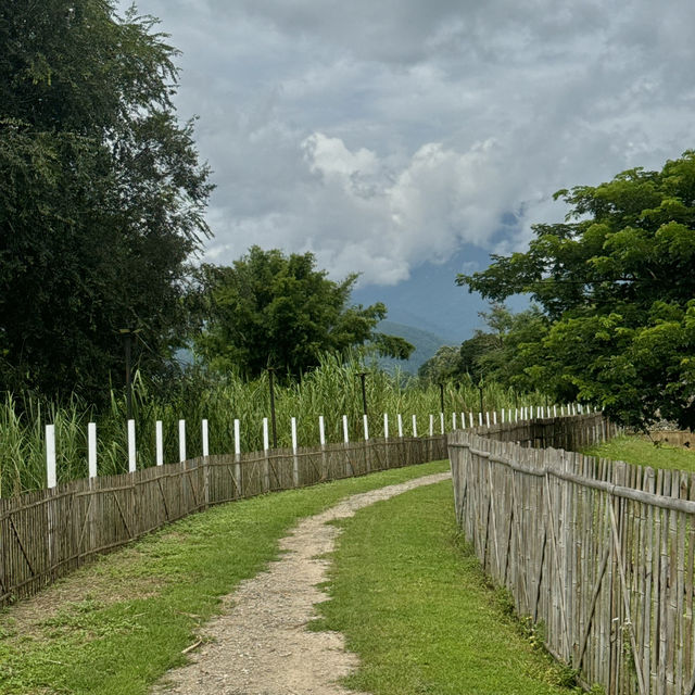 คาเฟ่เชียงดาว ฟีลต่างประเทศสุดๆ 🏞️🪿