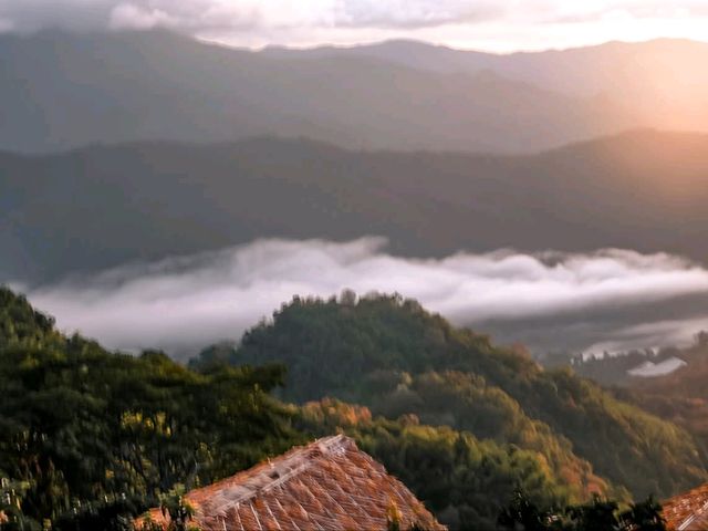 จูเลี๊ยะแคมป์ ม่อนเงาะ 🌿🌧️