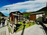 Zermatt Blacknose Sheep – The Cutest Locals in the Alps