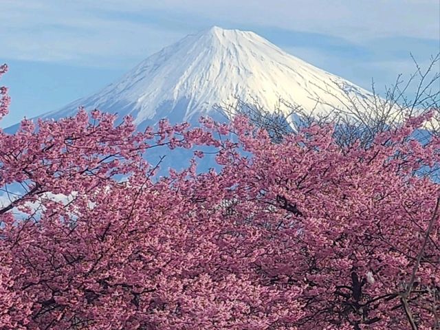 니폰다이라 호텔(Nippon Daira Hotel) 니혼다이라 트윈룸 후지산뷰