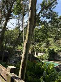 Rustic Escape and Nature-Inspired Luxury at Philea Resort & Spa Melaka