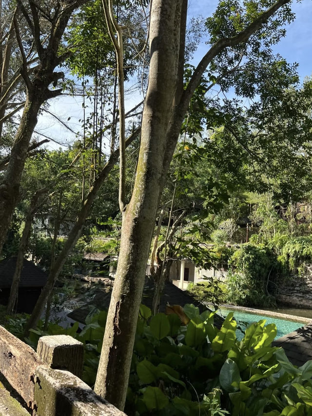 Rustic Escape and Nature-Inspired Luxury at Philea Resort & Spa Melaka