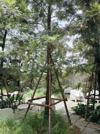☕ : Country Roast คาเฟ่ปากเกร็ด นนทบุรี