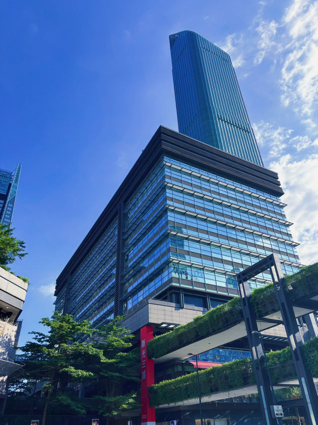 【信義香堤大道散步日記】城市裡最Chill的樹蔭時光🌳✨