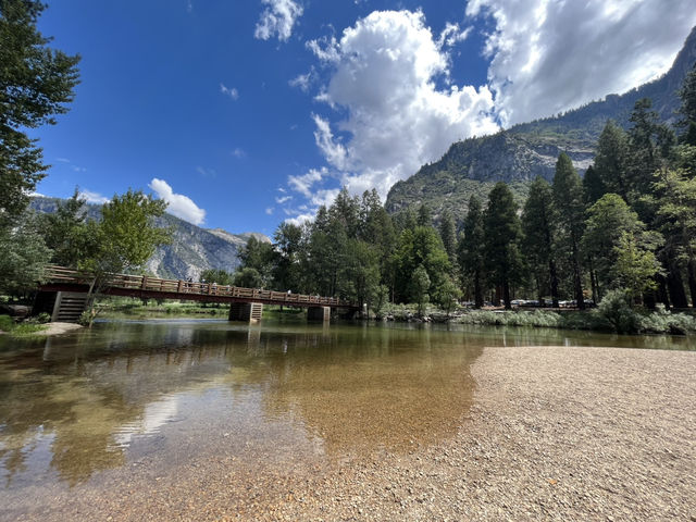 🌲 요세미티 밸리 로지 (Yosemite Valley Lodge)
