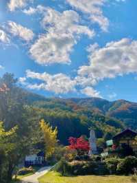 Peaceful Peaks & Forest Feels